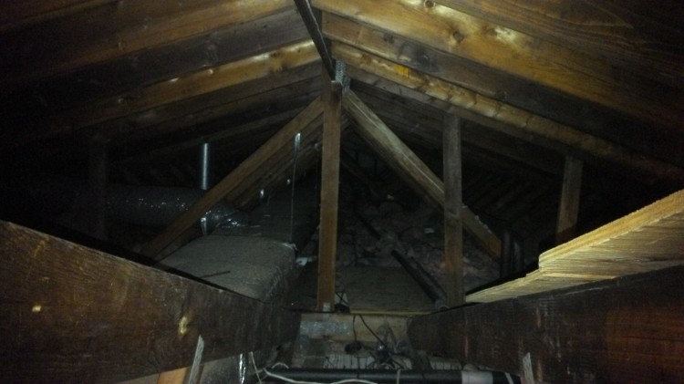 All safe and well in the attic... whew.